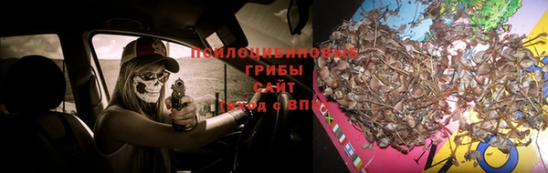 мдма Волоколамск