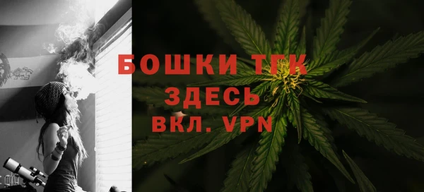 амф Володарск