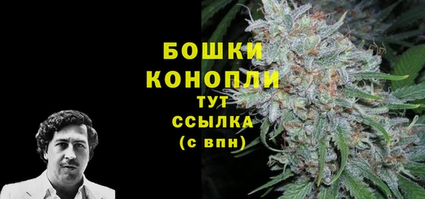 амф Володарск